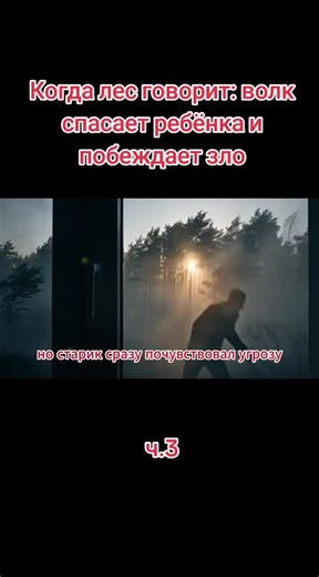 The Wolf Saves the Child in the Forest