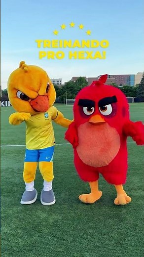 CANARINHO E RED PRONTOS PRO HEXA! 🇧🇷🔥