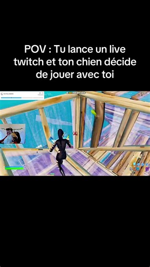 Live Streaming on Twitch with Your Dog