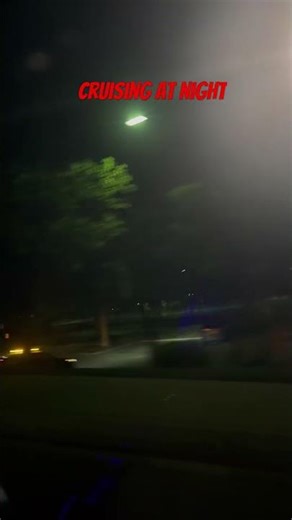 Back seat rider sightseeing