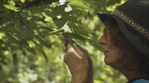 The science of spring