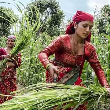 FAO and the Green Climate Fund are partnering for development
