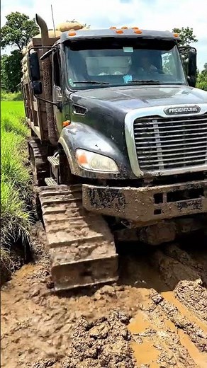 Freightliner Cascadia DESTROYS Deep Mud! 🚛💪 Ultra-Realistic Off-Road Power #shorts #heavydutytrucks