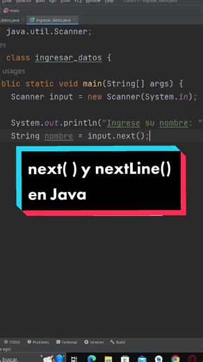 programador_otaku on TikTok