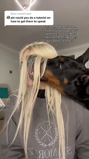 Dog Training Tip: Teaching Your Dog to Bark on Command