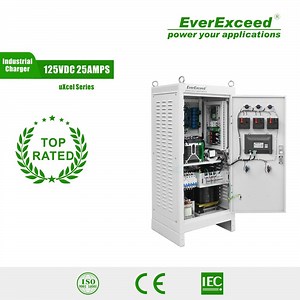 [Hot Item] Everexceed Industrial Battery Charger with Thyristor Charger