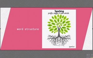TKT Module 1语言教学的背景知识 Unit 2 Lexis