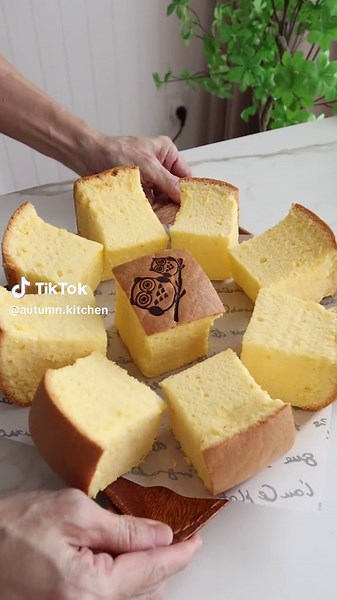 How to Bake a Delicious Castella Cake: Step-by-Step Guide