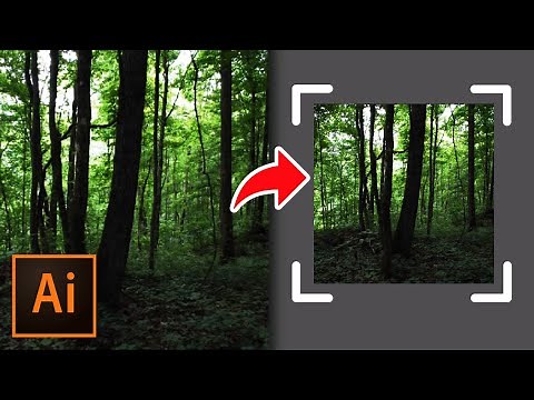 How to Crop Image in Illustrator