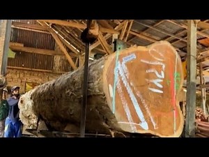 Teak Wood processing || From Giant Logs to Luxury Planks
