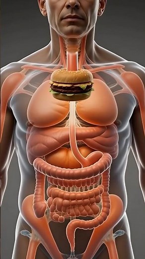 What Junk Food Really Does Inside Your Body #usashorts