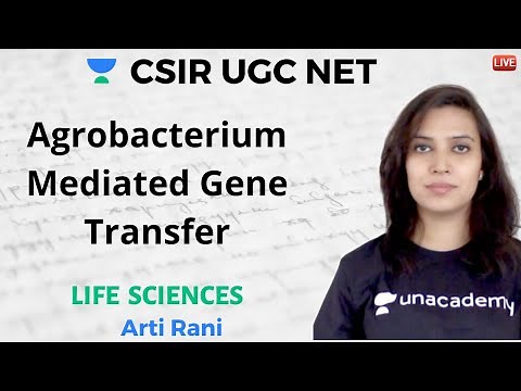 Agrobacterium Mediated Gene Transfer | Life Science | Unacademy Live- CSIR UGC NET | Arti Rani