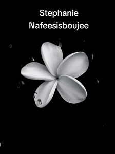 Stephanie 🎼 Song by Nafeesisboujee #fullsong #stephanie #fyp #lyrics_songs #song