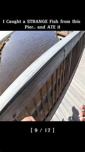 First State Fishing on TikTok