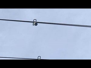 SEL AR Auto Ranger Overhead Fault Indicator flashing after pass through fault.