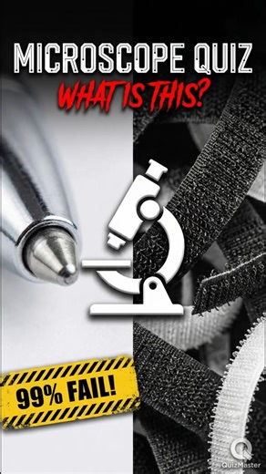 Can You Guess All Of These Under The Microscope