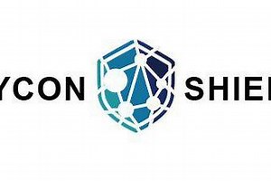 [Main project] [Team 4] Hycon Shield