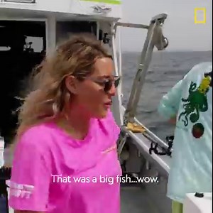 Pinwheel almost had an early catch but a simple pulled hook cost them a big fish. Don't miss the all-new episode of #WickedTuna, Sunday at 9/8c on National Geographic. | Wicked Tuna
