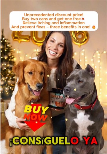 Year-Round Flea Prevention for Happy Dogs