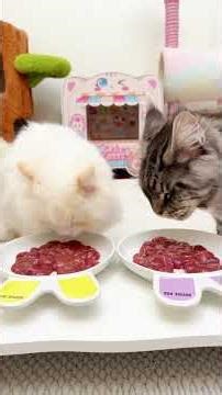 Immersive Cut of 56 Juicy Rabbit Kidneys: Raw Delight Unveiled