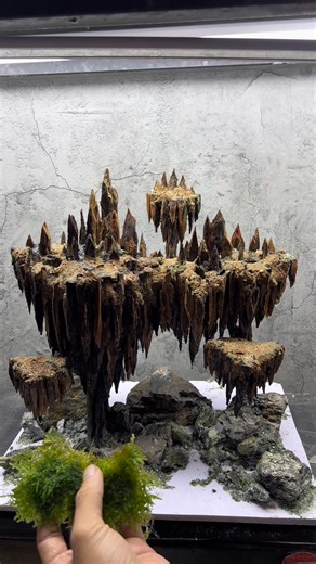 -vào rêu cho mẫu đảo bay #aquarium #thuysinh #xuhuongfb #layout | Nguyễn Đức Tuấn
