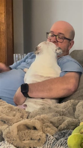 Tilly the Frenchie on Instagram: "Tilly 🥰 “Dogs’ lives are too short. Their only fault, really.” —Agnes Sligh Turnbull. #frenchbulldog #frenchie #doglife #rainbowbridge"