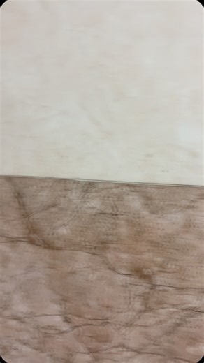 tips__&__tricks on Instagram: "Comment for link 🔗 This combo has 0% Bleach, 100% Power 💚 Say goodbye to harsh chemicals and hello to sparkling bathrooms! ✨ With plant-based ingredients, a pleasant rose fragrance, and zero bleach, the Kleenest Bathroom Kit is tough on stains but gentle on your home (and the planet) 🌸🚿 ✅ Safe & eco-friendly ✅ Powerful stain removal ✅ All-in-one solution for tiles, tubs, toilets & more! Clean smart. Breathe easy. Choose #Kleenest 💚 #ZeroBleach #BathroomGoals #