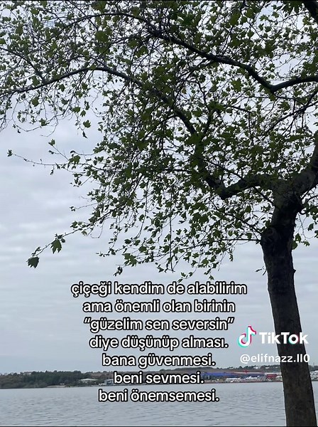 👸🏻 (@elifnazz.ll0) adlı kullanıcının Aşk Bir Mevsim - Pinhani ile oluşturduğu videoları