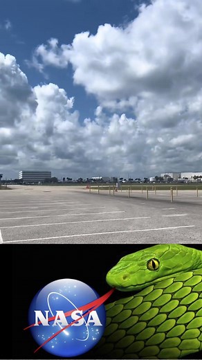 64K views · 2.4K reactions | Simbologia en el logo de la NASA #fblifestyle #verdad #NASA | Terraplanistas unidos México | Facebook