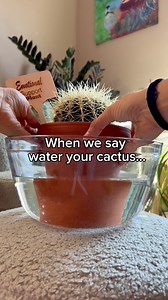 7M views · 31K reactions | 3 things you NEED to know when growing...