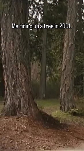 Visiting a tree ride from 2001! And riding it! So much fun. #ridersanonymous #mtb #treeride #p3 #mpffilms #mpf | Dylan Tremblay