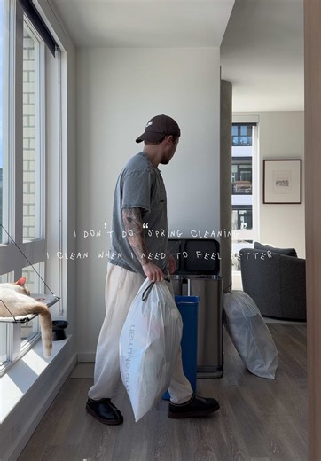 Clean Home Essentials: Step Recycler & Dyson Vacuum