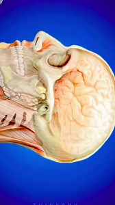 Power Of Subconscious Mind 🧠 🎥 Some Video Clip Credit :- @thesecret365 #subconsciousmind #lawofattraction #lawofvibration #brainpower… | Instagram | science Guru