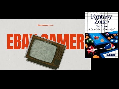 Sega Master System Fantasy Zone The Maze Ebay Gamer