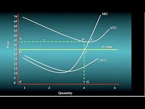 6-7 microeconomics - market struture - PCM