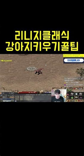 리니지클래식 도베르만키우기 꿀팁 #리니지클래식 #만만 #불도그 #이문주 #수삼 #겜케이