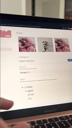 How to use the Notion template button
