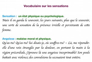 2.8K views · 276 reactions | Vocabulaire sur les sensations | Youssef le français | Facebook