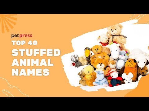 Top 40 Unique and Unforgettable Stuffed Animal Names 🧸 | PetPress