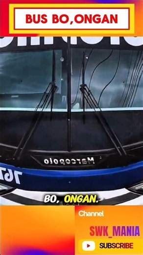 bus bo, ongan