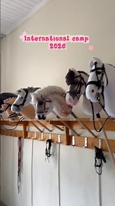Would you like to go to a hobby horse camp?! #hobbyhorse