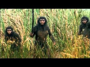 El Primer verdadero ser humano, el Homo habilis