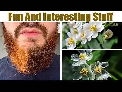 Fun And Interesting Stuff That Will Fascinate You