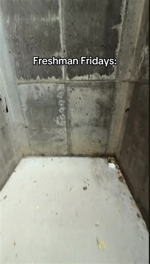 #fypシ゚viral #school | freshman friday
