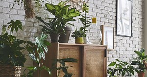 7 bonnes adresses pour shopper des fleurs et plantes artificielles