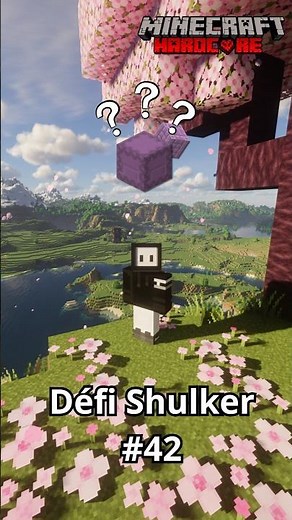 Remplir une SHULKER de Piliers de Purpur ?! 🤯|Défi Shulker #minecraft