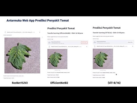 Machine Learning Process - Prediksi Penyakit Tomat Dengan Deep Learning dan Transfer Learning