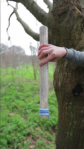 50cm Chilean Cactus Rainstick (Sound Demo)