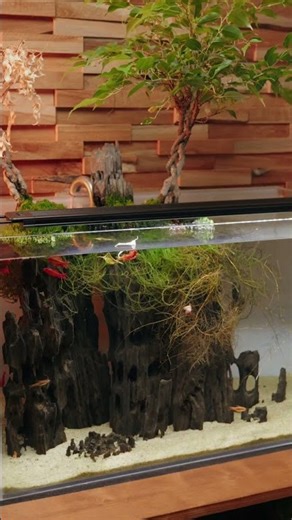 YOU'RE IN CONTROL | Aquasky 3.0 Aquarium LEDs #shorts