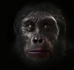 436K views · 23 reactions | تطوّر البشر خلال الـ7 مليون سنة الماضية.. للمزيد تابعونا على نظرية التطور - The Theory Of Evolution | نظرية التطور - The Theory Of Evolution | Facebook